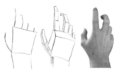 How to Sketch a Hand: A Journey Through Lines and Shadows